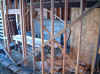 Framing btwn 2 bedrooms.JPG (42040 bytes)