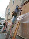 Nailing Walls in place.jpg (29912 bytes)