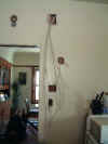 Spaghetti.JPG (26982 bytes)