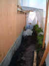 View from Bathroom Window.jpg (24960 bytes)